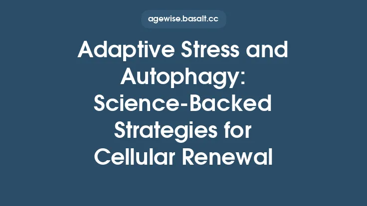 Adaptive Stress and Autophagy: Science‑Backed Strategies for Cellular Renewal Thumbnail