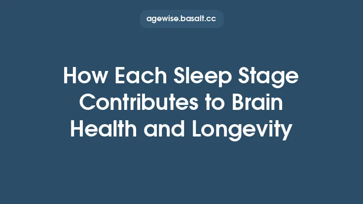 How Each Sleep Stage Contributes to Brain Health and Longevity Thumbnail