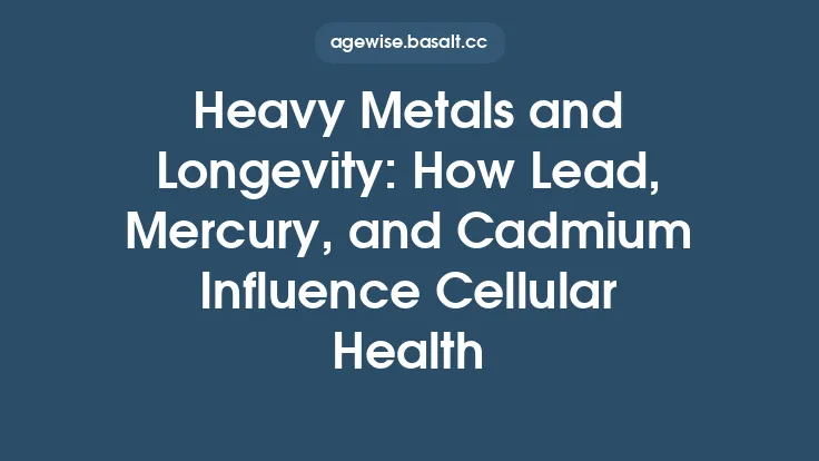 Heavy Metals and Longevity: How Lead, Mercury, and Cadmium Influence Cellular Health Thumbnail