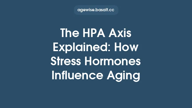 The HPA Axis Explained: How Stress Hormones Influence Aging Thumbnail
