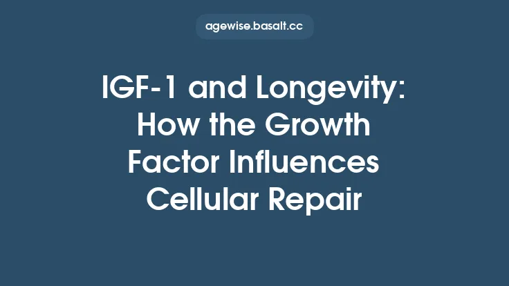 IGF‑1 and Longevity: How the Growth Factor Influences Cellular Repair Thumbnail