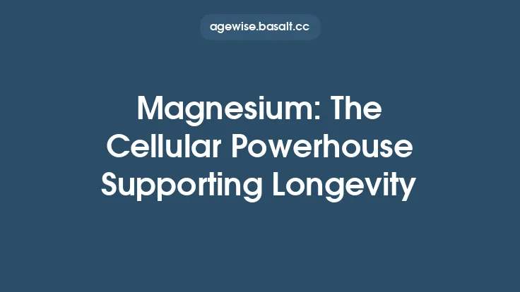 Magnesium: The Cellular Powerhouse Supporting Longevity Thumbnail