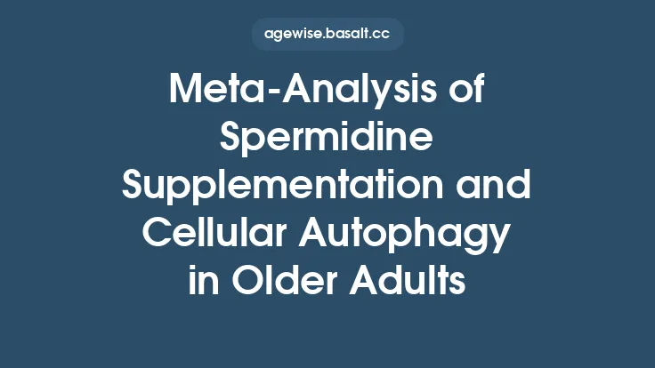 Meta-Analysis of Spermidine Supplementation and Cellular Autophagy in Older Adults Thumbnail