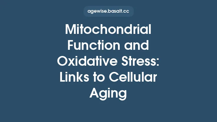 Mitochondrial Function and Oxidative Stress: Links to Cellular Aging Thumbnail