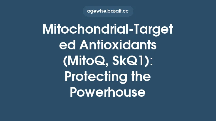 Mitochondrial‑Targeted Antioxidants (MitoQ, SkQ1): Protecting the Powerhouse Thumbnail