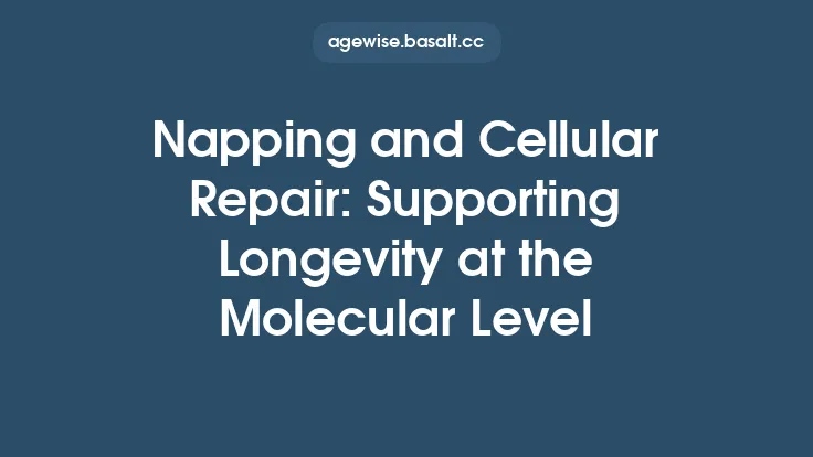 Napping and Cellular Repair: Supporting Longevity at the Molecular Level Thumbnail