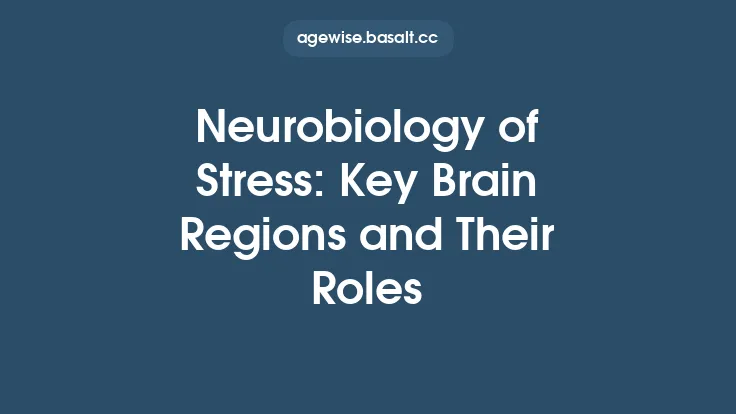 Neurobiology of Stress: Key Brain Regions and Their Roles Thumbnail