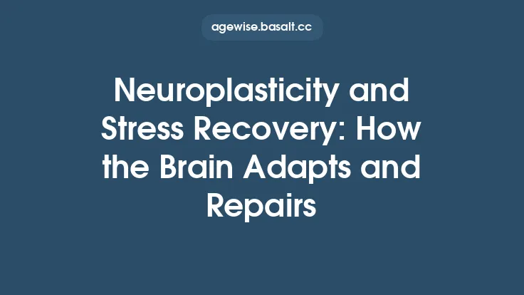 Neuroplasticity and Stress Recovery: How the Brain Adapts and Repairs Thumbnail
