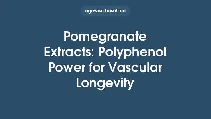 Pomegranate Extracts: Polyphenol Power for Vascular Longevity Thumbnail
