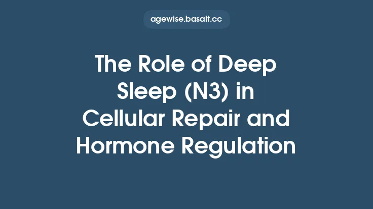 The Role of Deep Sleep (N3) in Cellular Repair and Hormone Regulation Thumbnail