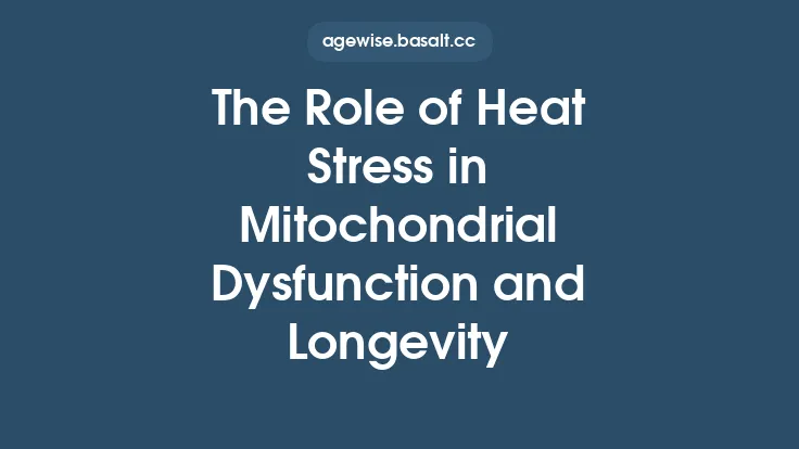The Role of Heat Stress in Mitochondrial Dysfunction and Longevity Thumbnail