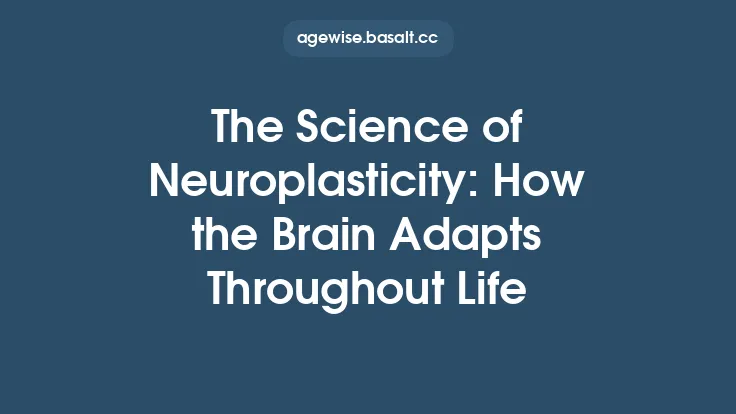 The Science of Neuroplasticity: How the Brain Adapts Throughout Life Thumbnail
