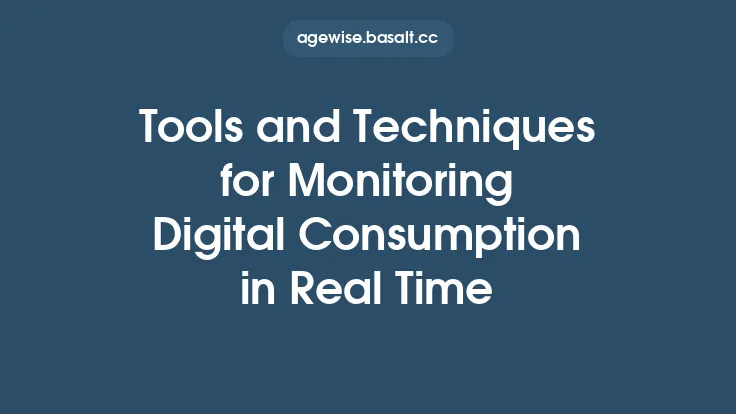 Tools and Techniques for Monitoring Digital Consumption in Real Time Thumbnail