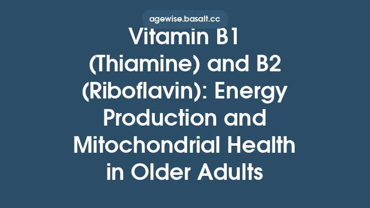 Vitamin B1 (Thiamine) and B2 (Riboflavin): Energy Production and Mitochondrial Health in Older Adults Thumbnail
