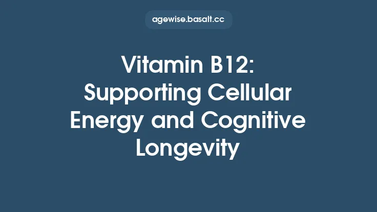 Vitamin B12: Supporting Cellular Energy and Cognitive Longevity Thumbnail