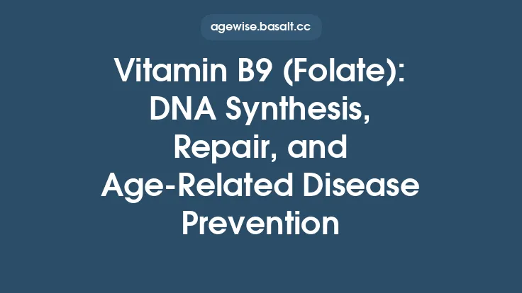 Vitamin B9 (Folate): DNA Synthesis, Repair, and Age‑Related Disease Prevention Thumbnail