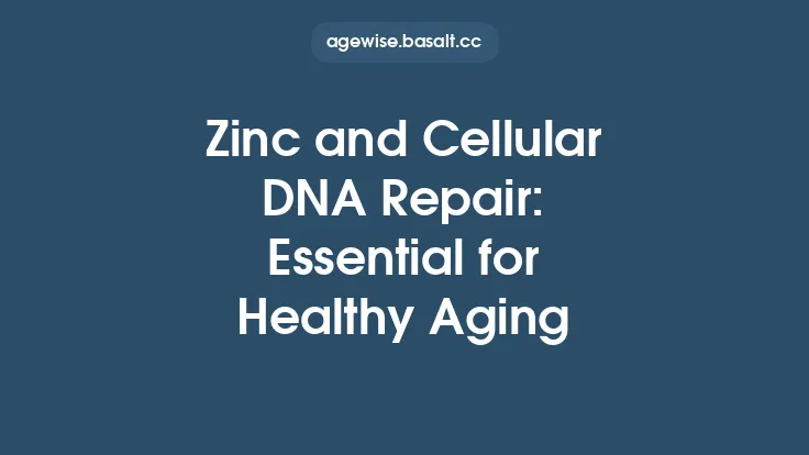 Zinc and Cellular DNA Repair: Essential for Healthy Aging Thumbnail